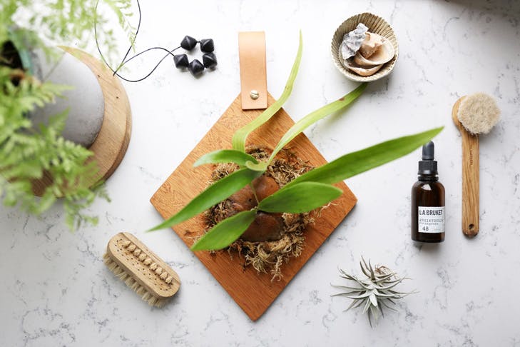 things to do in Sydney